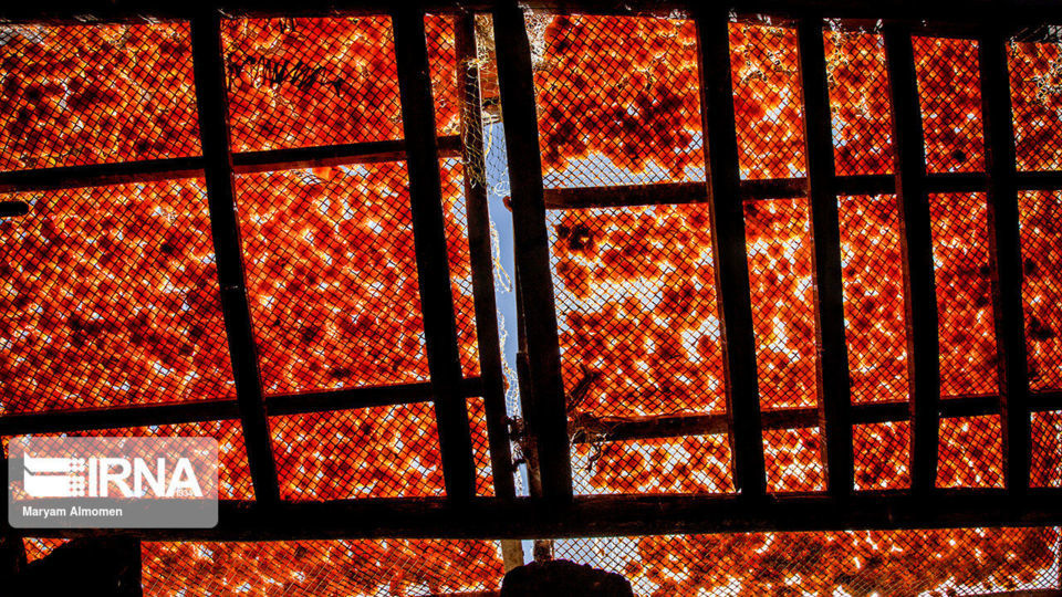 پشت بام های طلایی خَروْ پشت بام های طلایی خَروْ