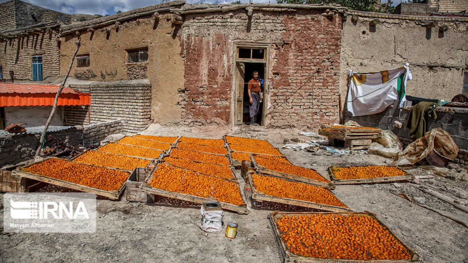 پشت بام های طلایی خَروْ پشت بام های طلایی خَروْ