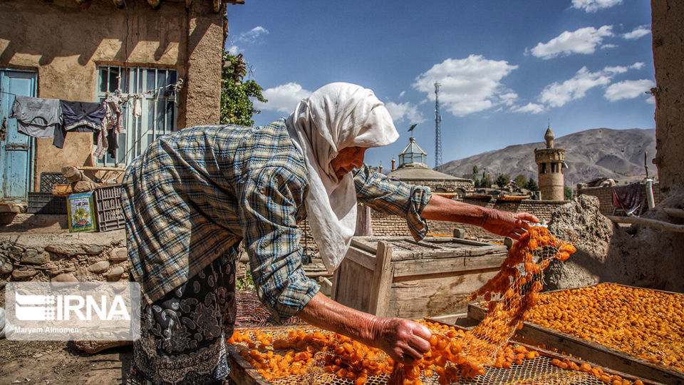 پشت بام های طلایی خَروْ پشت بام های طلایی خَروْ