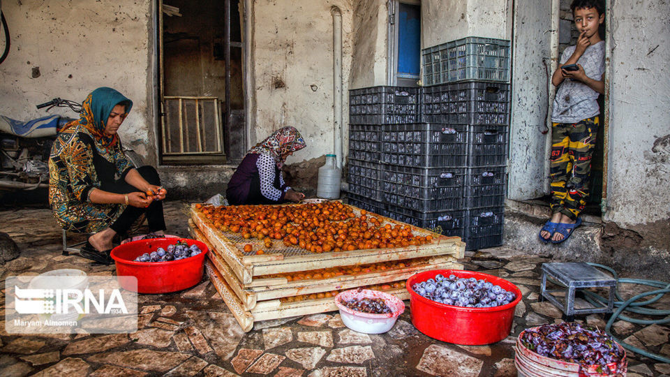 پشت بام های طلایی خَروْ پشت بام های طلایی خَروْ