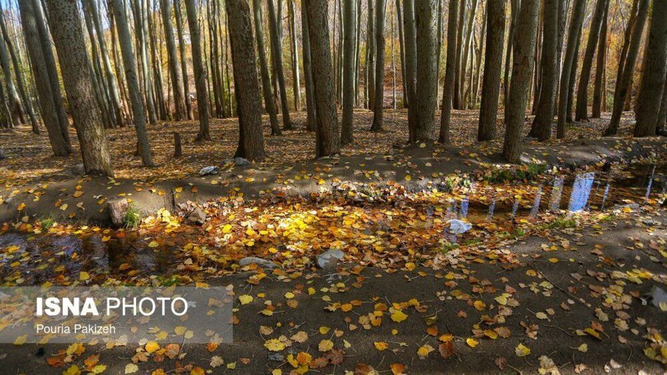 خزان در کوچه باغهای همدان خزان در کوچه باغهای همدان