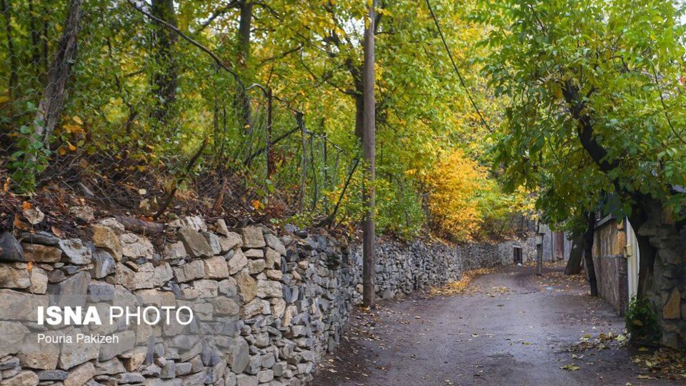 خزان در کوچه باغهای همدان خزان در کوچه باغهای همدان