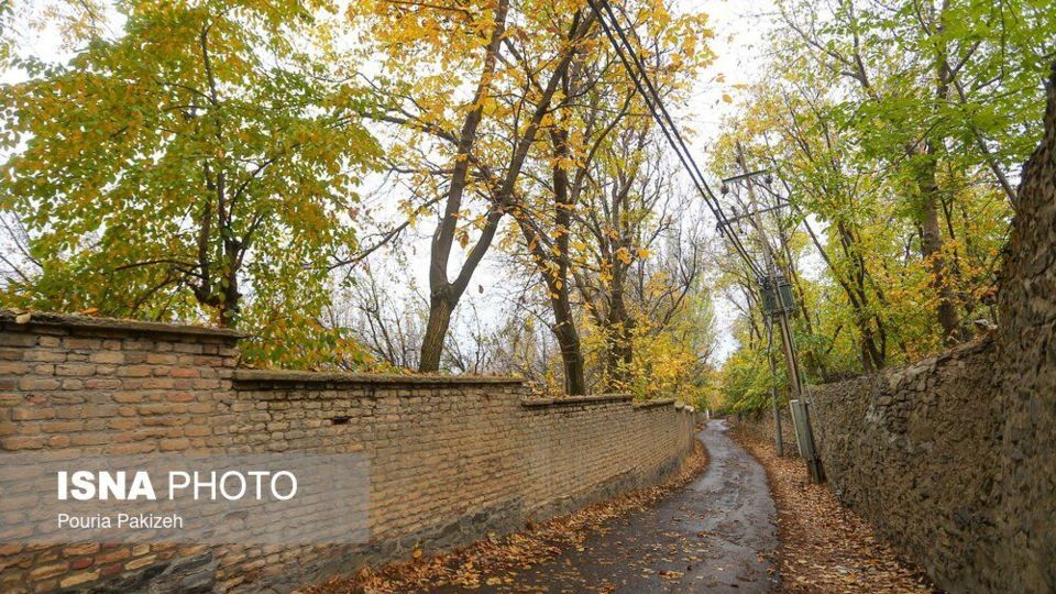 خزان در کوچه باغهای همدان خزان در کوچه باغهای همدان