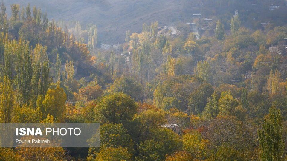 خزان در کوچه باغهای همدان خزان در کوچه باغهای همدان