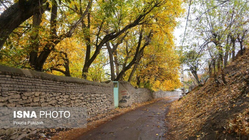 خزان در کوچه باغهای همدان خزان در کوچه باغهای همدان
