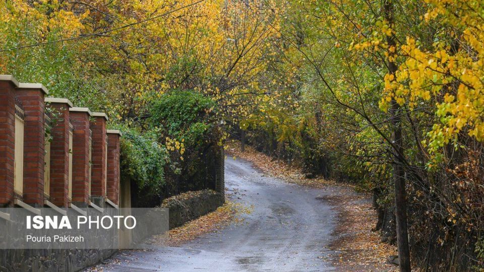 خزان در کوچه باغهای همدان خزان در کوچه باغهای همدان