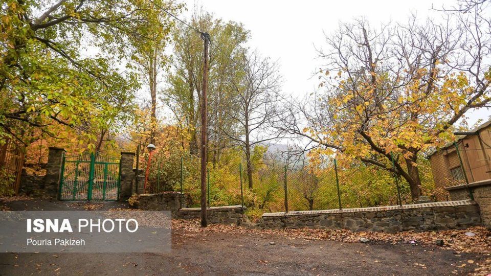 خزان در کوچه باغهای همدان خزان در کوچه باغهای همدان