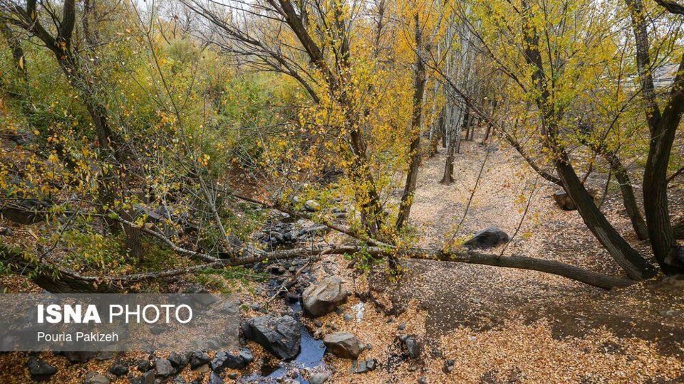 خزان در کوچه باغهای همدان خزان در کوچه باغهای همدان