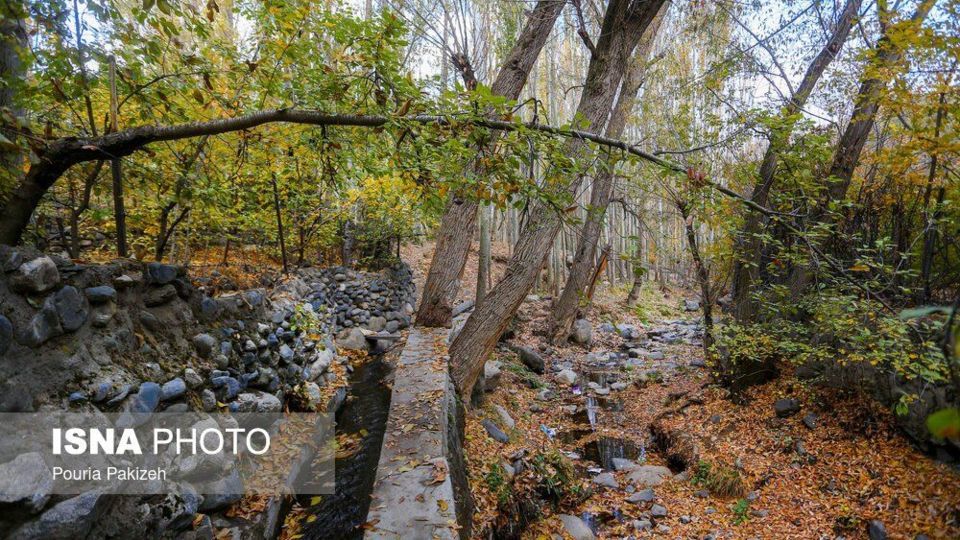 خزان در کوچه باغهای همدان خزان در کوچه باغهای همدان