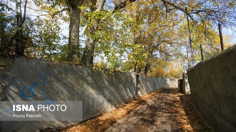 خزان در کوچه باغهای همدان خزان در کوچه باغهای همدان