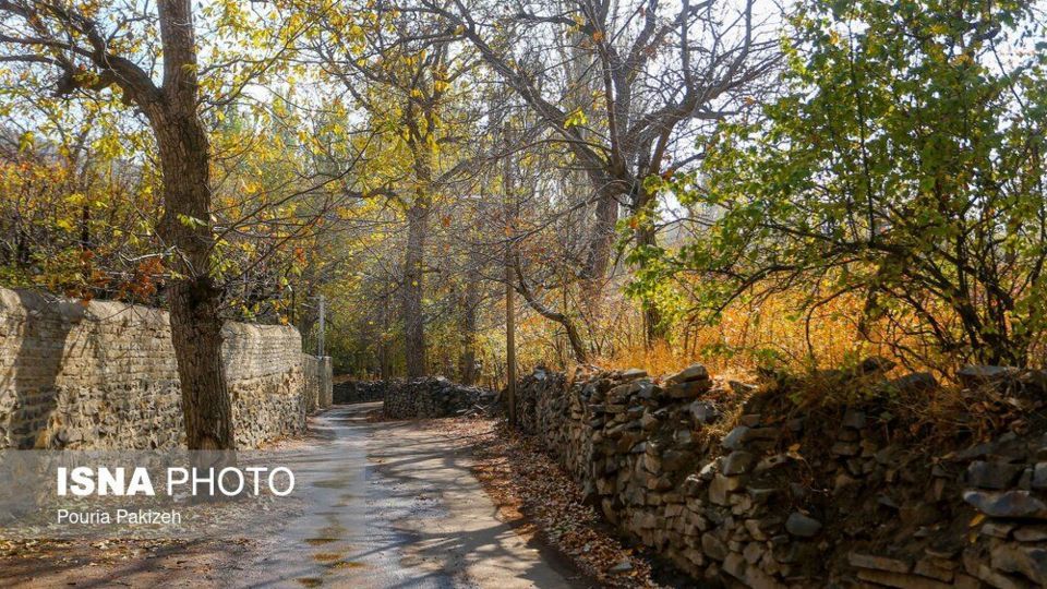 خزان در کوچه باغهای همدان خزان در کوچه باغهای همدان