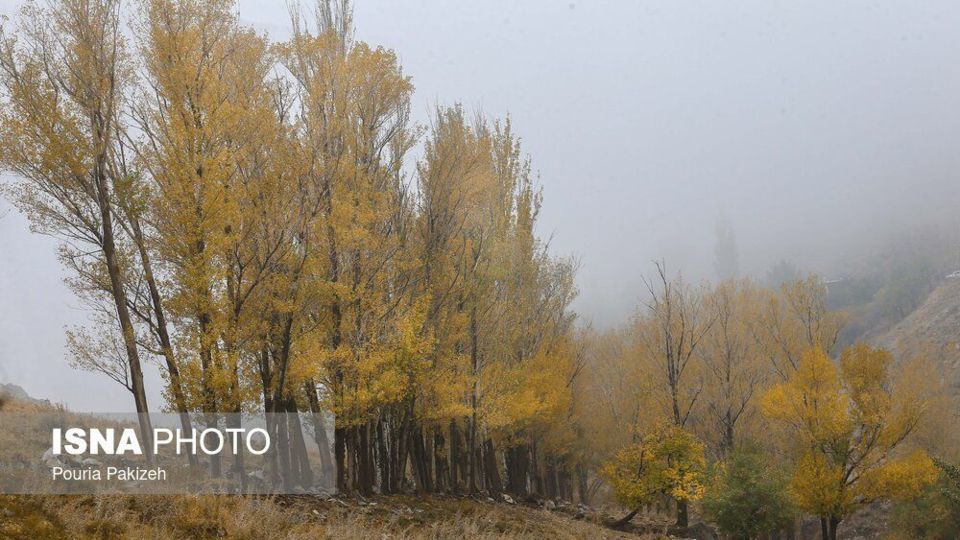 خزان در کوچه باغهای همدان خزان در کوچه باغهای همدان