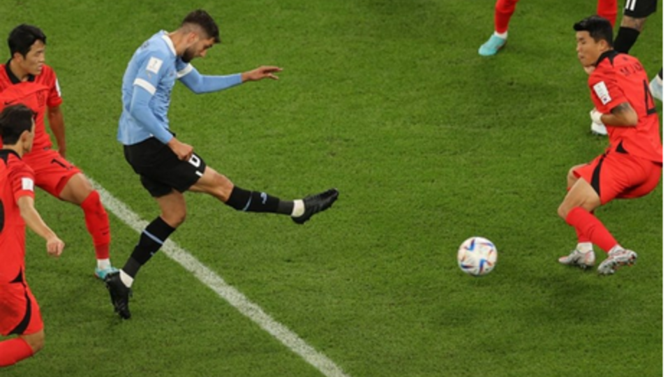 جام جهانی قطر| کره جنوبی یک امتیاز از اروگوئه گرفت جام جهانی قطر| کره جنوبی یک امتیاز از اروگوئه گرفت