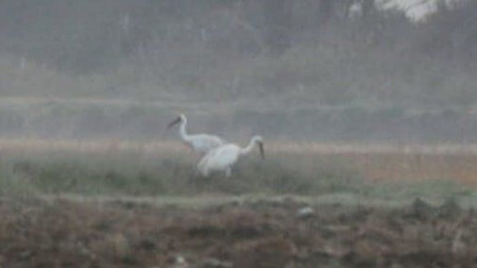 بدون «امید» کریدور غرب آسیا کور میشود بدون «امید» کریدور غرب آسیا کور میشود