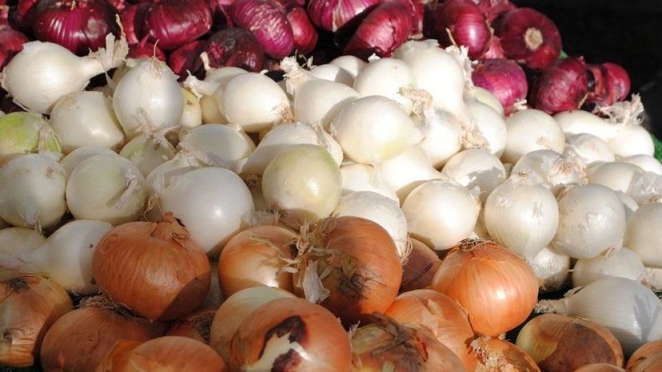 قیمت پیاز همچنان بالاست/ وعده جدید مسئولان برای کاهش قیمت قیمت پیاز همچنان بالاست/ وعده جدید مسئولان برای کاهش قیمت