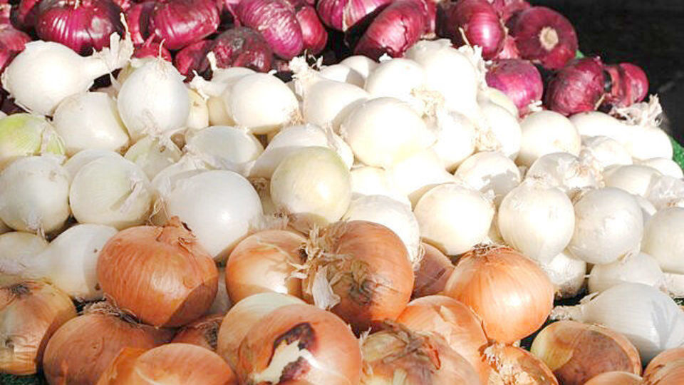 هفته آینده پیاز ارزان میشود هفته آینده پیاز ارزان میشود