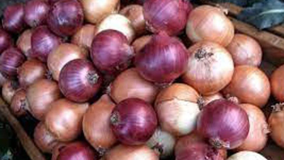 پیاز چند؟ پیاز چند؟