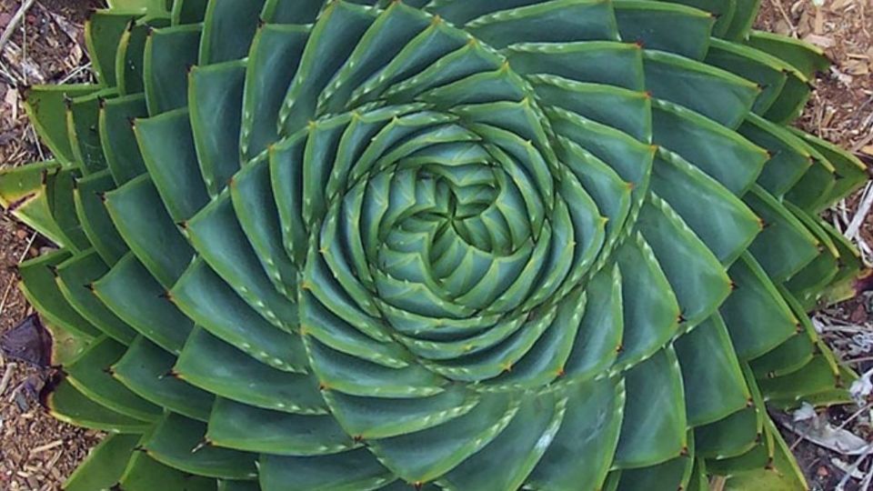 سلام بر مهدی (عج) دوست داشتنی سلام بر مهدی (عج) دوست داشتنی