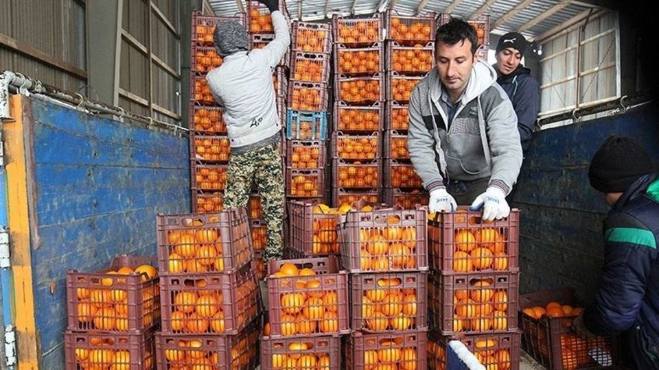 خرده فروشان: امسال قیمت مصوب برای میوه شب عید نداریم خرده فروشان: امسال قیمت مصوب برای میوه شب عید نداریم