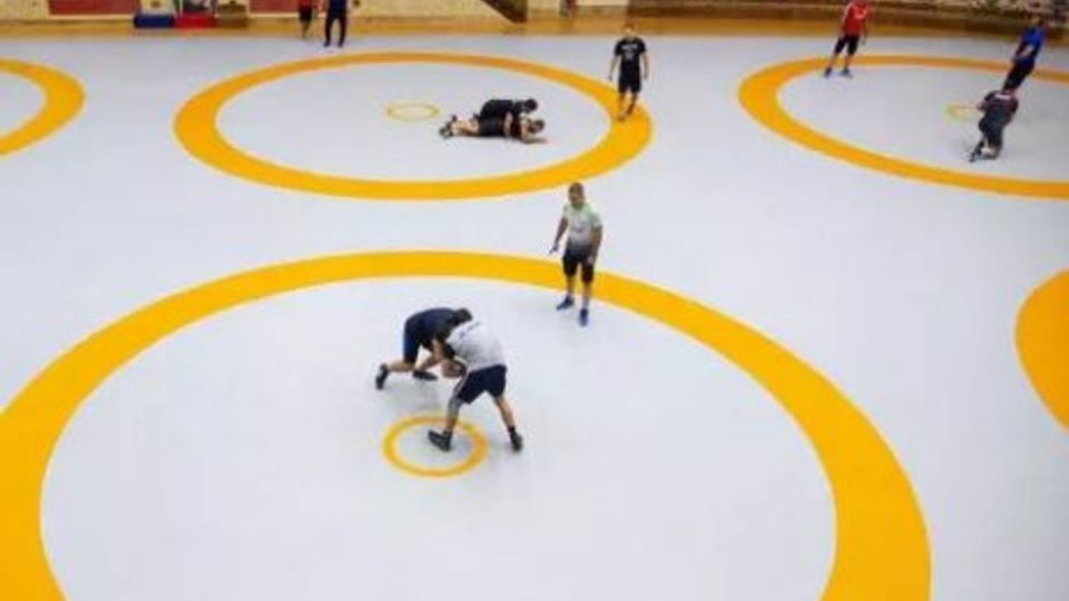 ۲ طلا و ۳ برنز و یک نقره سهم فرنگیکاران ایران ۲ طلا و ۳ برنز و یک نقره سهم فرنگیکاران ایران