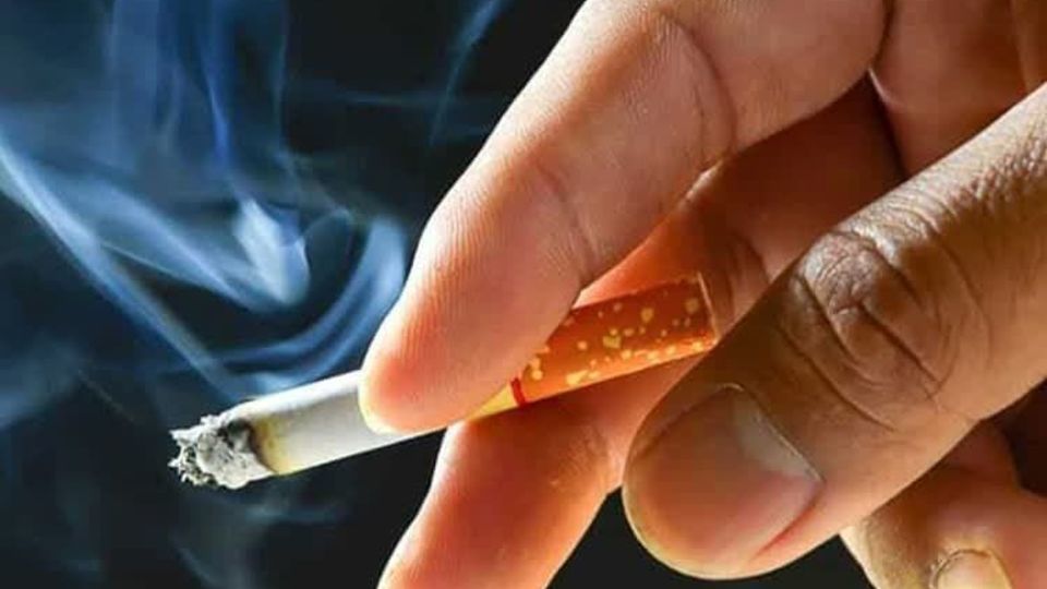 دولت هیچ نفعی از درآمدزایی در حوزه دخانیات نخواهد داشت دولت هیچ نفعی از درآمدزایی در حوزه دخانیات نخواهد داشت