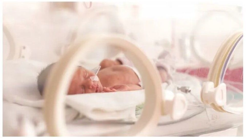 پلاستیکها با زایمان زودرس ارتباط دارند پلاستیکها با زایمان زودرس ارتباط دارند