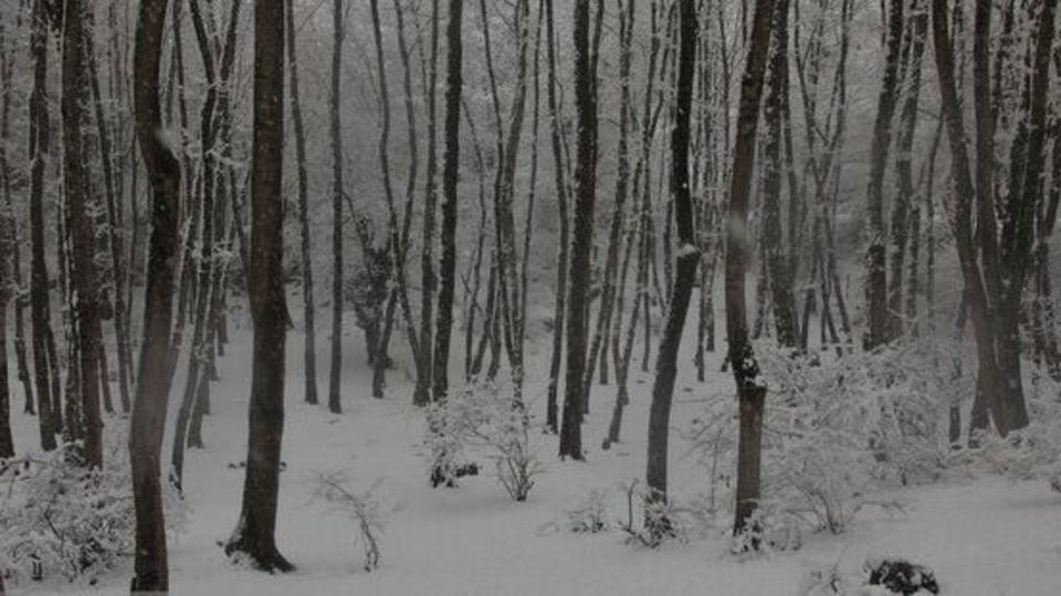 افزایش 11 درصدی آمار بارش در کنار تداوم خشکسالی