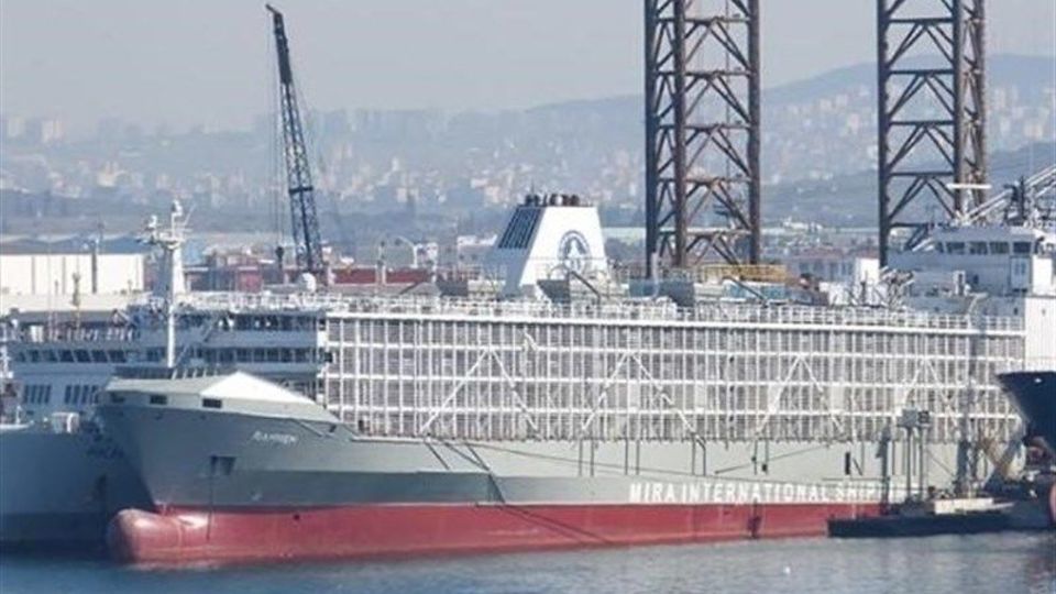 معطلی 15 کشتی نهاده‌های دامی در دریای مازندران