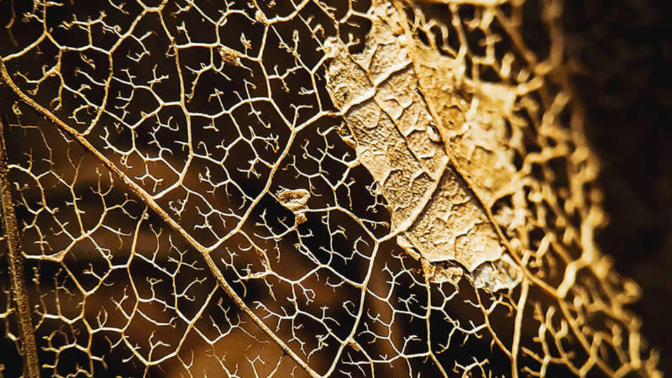 ۲۷ عکس برنده در چهاردهمین دوره جوایز سالانه عکاسی موبایل ۲۷ عکس برنده در چهاردهمین دوره جوایز سالانه عکاسی موبایل
