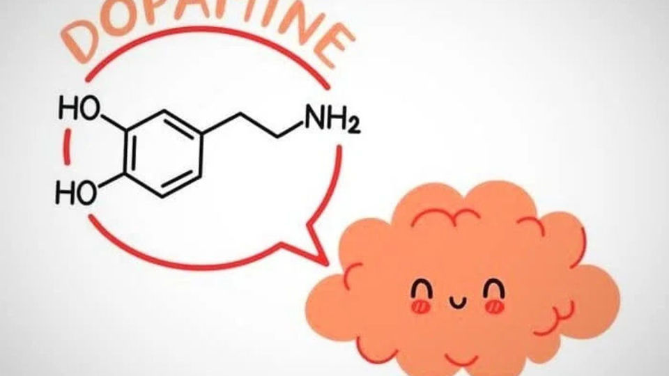 ۱۰ روش برای آزادشدن دوپامین در مغز و احساس لذت بیشتر ۱۰ روش برای آزادشدن دوپامین در مغز و احساس لذت بیشتر