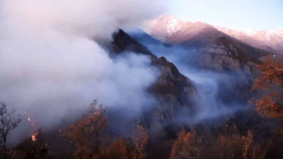 پایان نبرد با آتش در کارمزد / آغاز هشدار برای جنگلی که تا لبه پرتگاه رفت