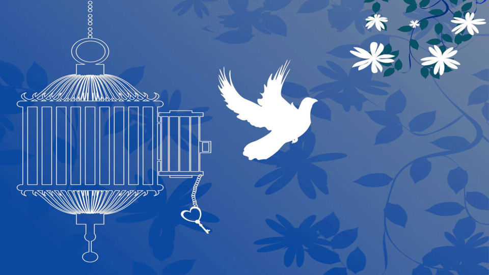 آزادی تمامی مادران زندانی جرائم مالی غیرعمد تا سقف 250 میلیون تومان به همت بانک پارسیان