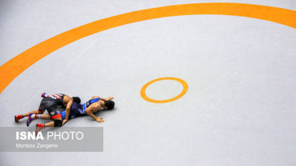 کمک ۴۰۰ میلیاردی وزارت ورزش برای «فدراسیون کشتی»/ سایر فدراسیون‌ها ۵۵۰ میلیارد تومان!