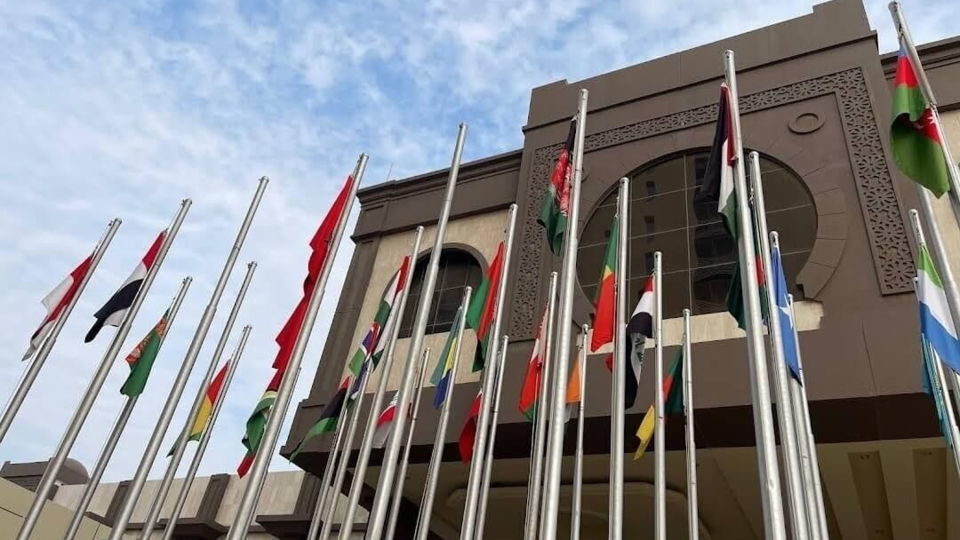 22 کشور و سازمان همکاری اسلامی به رسمیت شناختن سومالی لند توسط اسرائیل را محکوم کردند