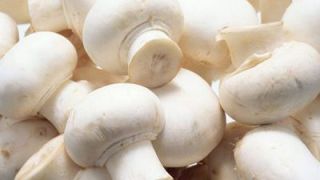 فشار خون بالا را چگونه باید درمان کنید