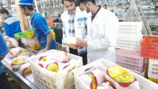 وزارت جهاد کشاورزی: فروش مرغ بالاتر از ۶۳ هزار تومان تخلف است