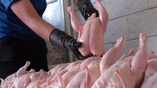 وزارت کشاورزی خطاب به مرغداران: اگر ‌مرغ ‌با قیمت مصوب توزیع نشو‌د قطعاً وارد می‌کنیم 
