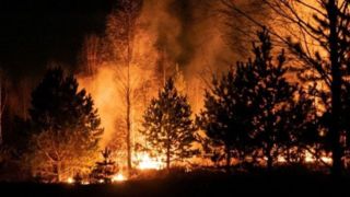ادامه بحران آتش‌سوزی جنگل‌ها در کانادا و وضعیت اضطراری هوا در آمریکا