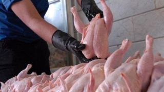 آیا با تامین نهاده‌ها قیمت مرغ در بازار فروکش می‌کند؟