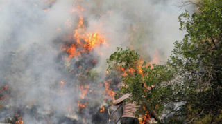 آتش در جنگلهای مریوان گسترش یافت/ بالگرد دوم به کمک آمد  