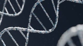 کشف ژنی که به افزایش طول عمر انسان ها کمک می‌کند