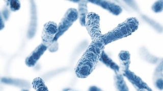 دانشمندان معمای ژنتیکی مربوط به کروموزم جنسیت را حل کردند