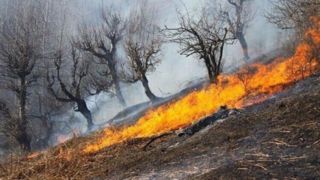 هشدار آتش‌سوزی در عرصه‌های طبیعی و جنگلی گیلان