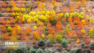 پاییز هزار رنگ در روستای «شیت»