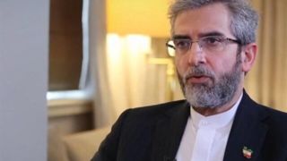 باقری: ایران برای تجارت غیردلاری در چارچوب بریکس تلاش می‌کند