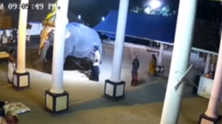لحظه هولناک حمله فیل خشمگین به یک مرد در هند 