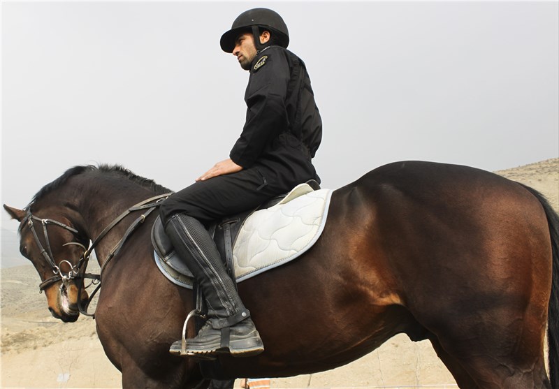تجربه‌ای متفاوت در یگان ویژه/ پلیسهایی که به جای الگانس سوار اسب می شوند+ عکس