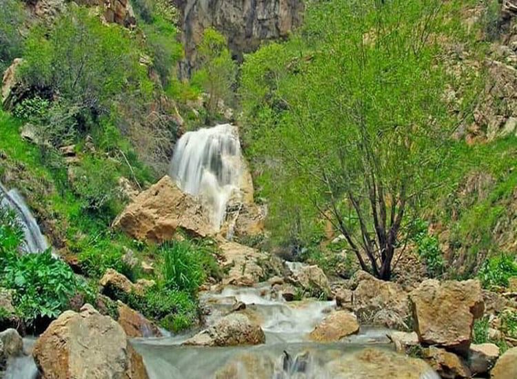 اجاره ویلا در کردان