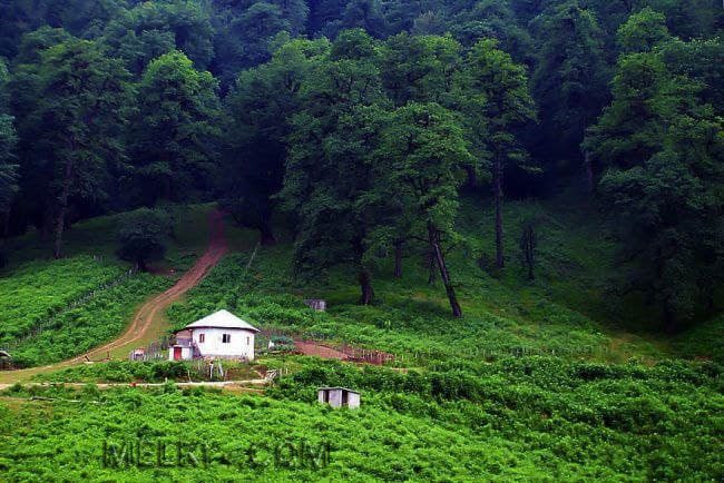 اجاره ویلا رامسر 