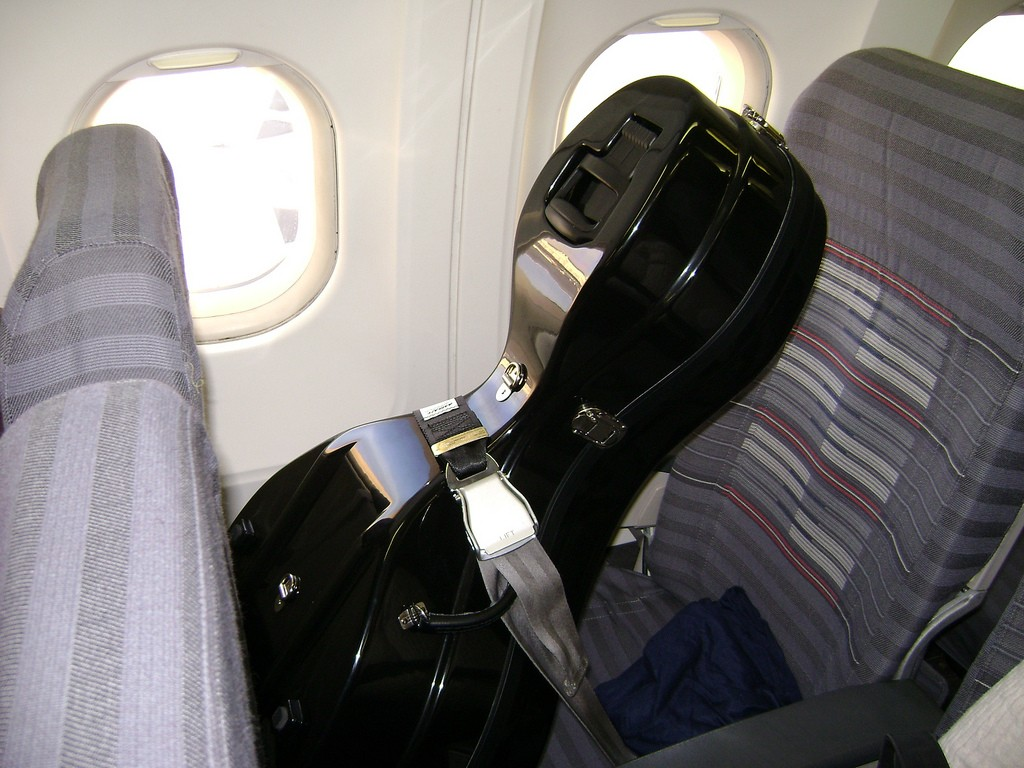 حمل ساز در هواپیما به همراه مسافر